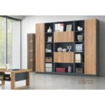 TumII Series - Image 5